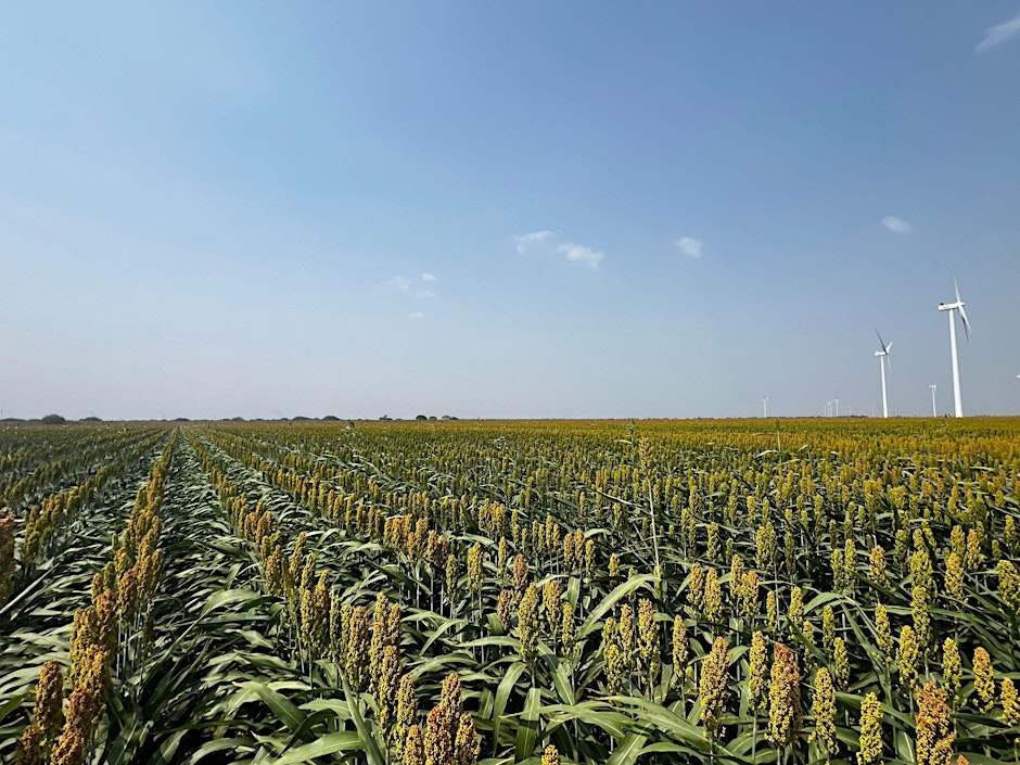 Willacy Row Crop Conference