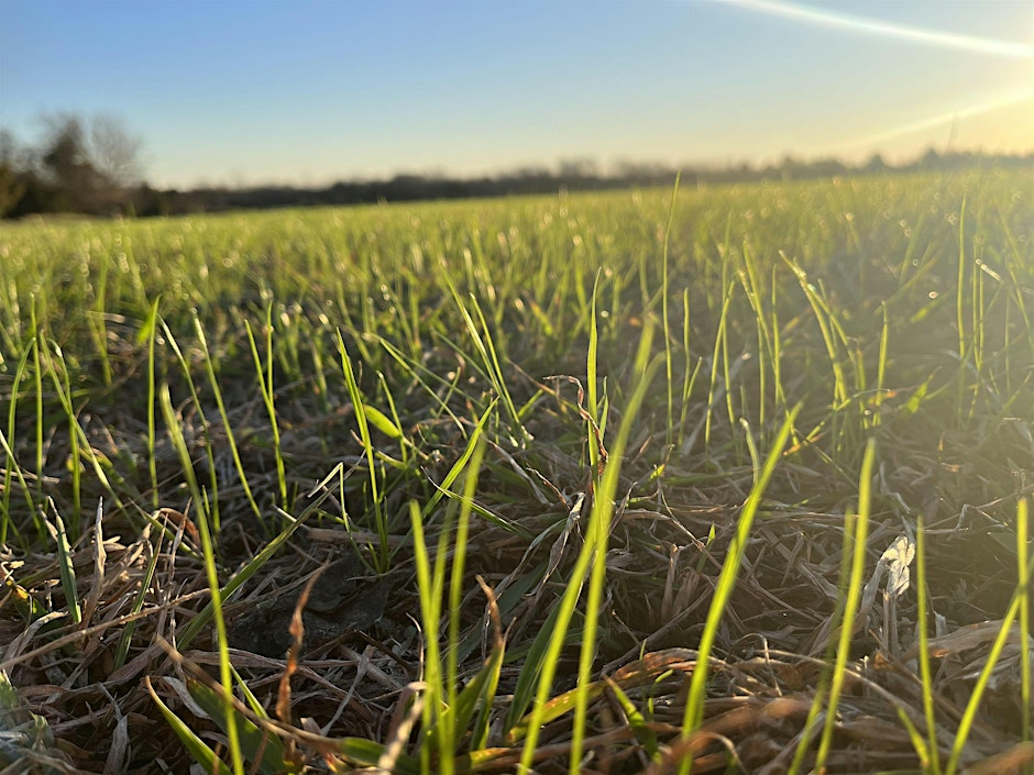 Building Healthy Soils for Forages