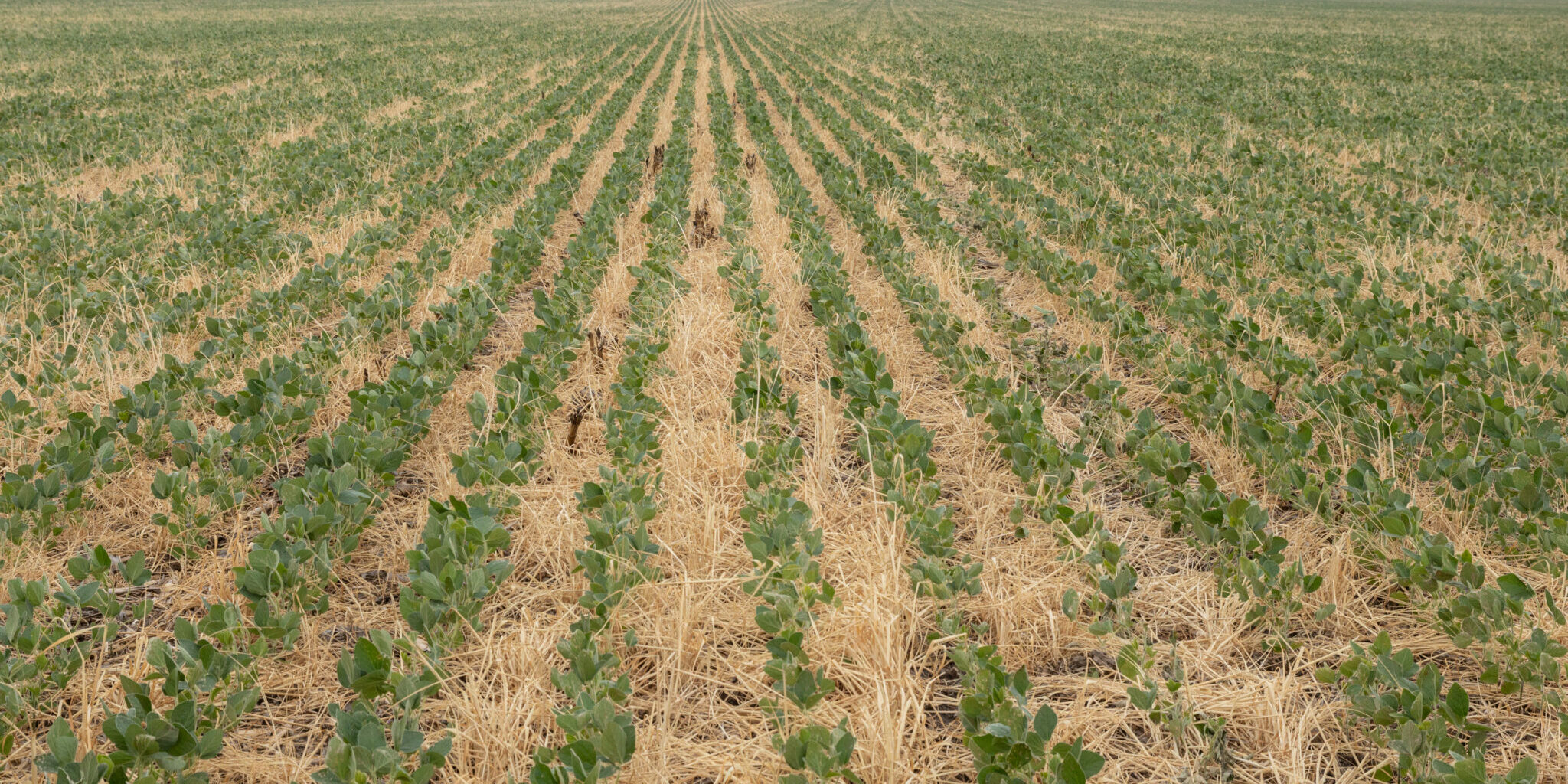 Integrated Water Management Workshop for Farmers and Landowners