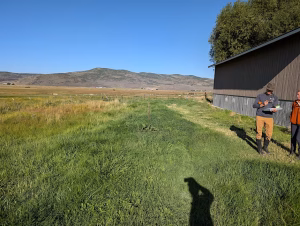 Ecological Monitoring