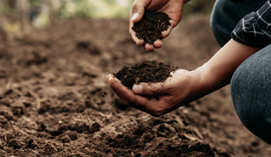 Soil Stewardship