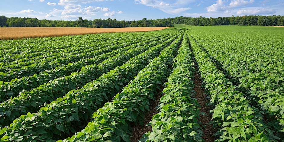 Soilcraft Regenerative Agronomy Conference