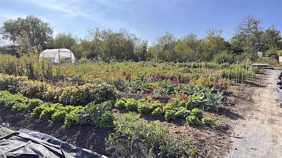 Foundation for Regenerative Agriculture