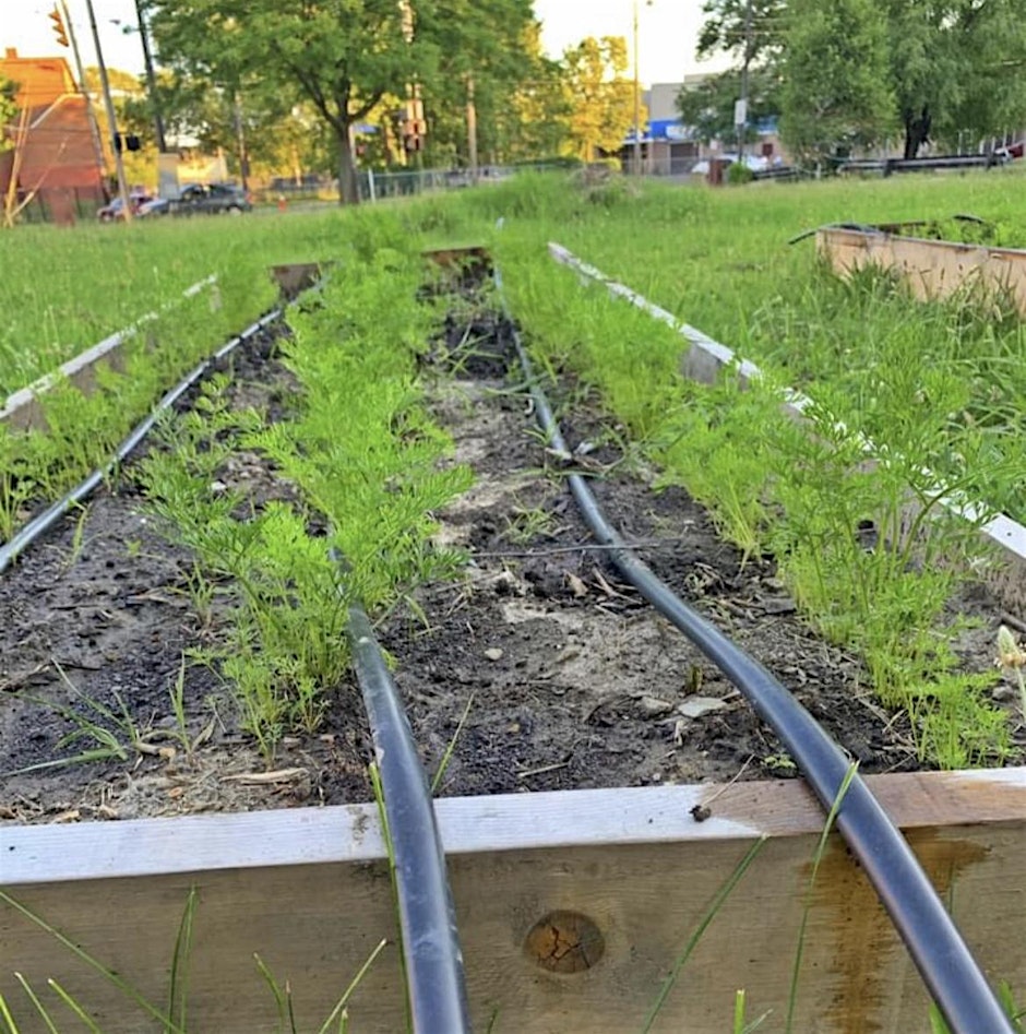 Soil Health Workshop Cleveland
